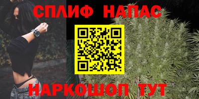 дмт Краснознаменск