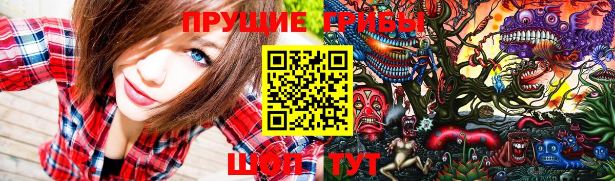 Ярцево  Галлюциногенные грибы прущие грибы  Вход с VPN 